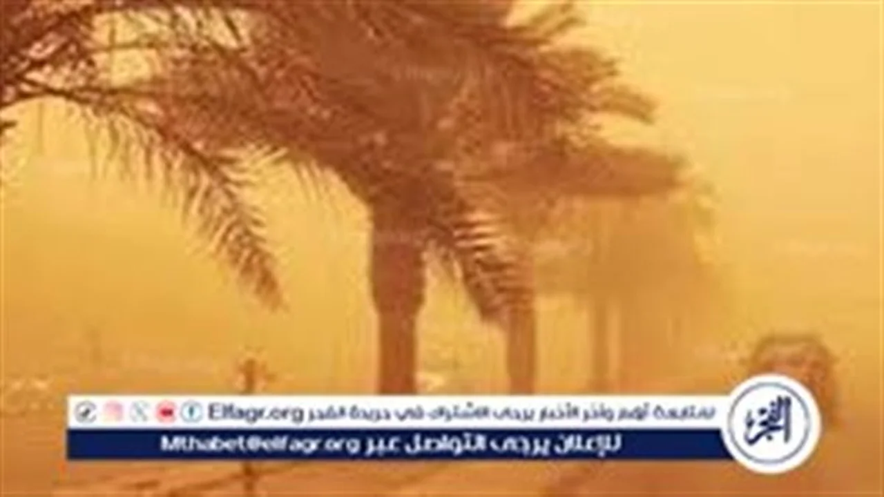 استقرار الأحوال الجوية وطقس معتدل في أسوان يوم الجمعة ٢٤ أبريل ٢٠٢٦